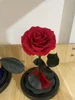 Rojo 10*15cm