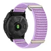 jacinto morado