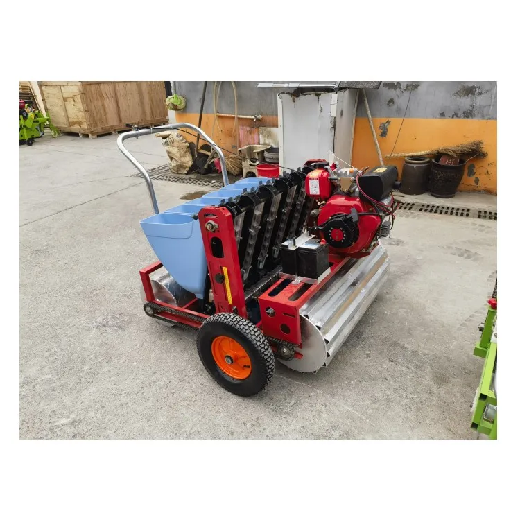 Automatic Garlic Seeder Machine Garlic Planter Sale Agriculture Equipment and Tools Planter