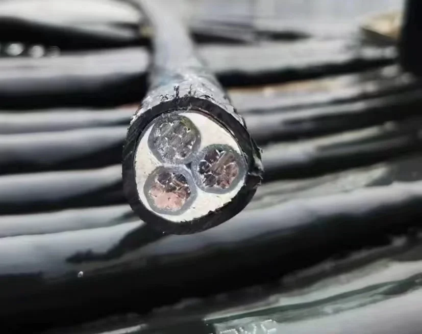 3 코어 순수 알루미늄 도체 전원 케이블 PVC 절연 xple 외부 외장 U1000 R2V RVFV NYVV N2XY N2XBY