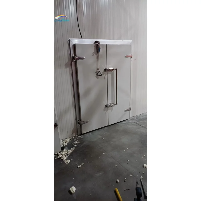 Cold Room Door for Cold Room Service Door Hinged Door for Walk-in Freezer Sliding Hinged Door Cold Room Cold Storage