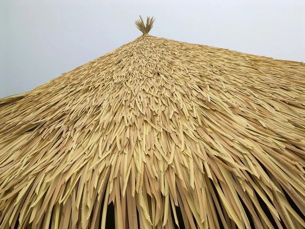 rs=w_1300,h_800.webp (8).jpg