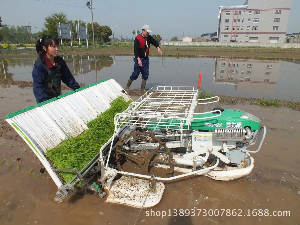 NEW 6 Rows Rice Transplanter Machine Price Rice Planting Machine Paddy Transplanter Rice Planter
