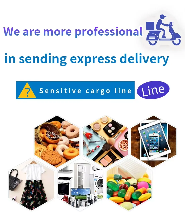 FCL 40HQ 20GP Logistic Services Shipping Freight Forwarding Asia Online Shopping Logistic Transport China to Ddp Albania
