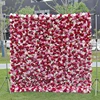 1# Red Pink Flower Wall