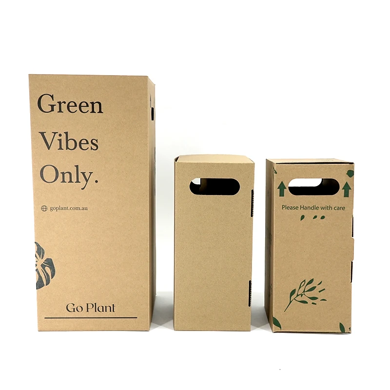 Wholesale Customized Recyclable Paper Succulent Pot Plant Packaging Box Long Cardboard Live Cactus Plant Shipping Carton Box