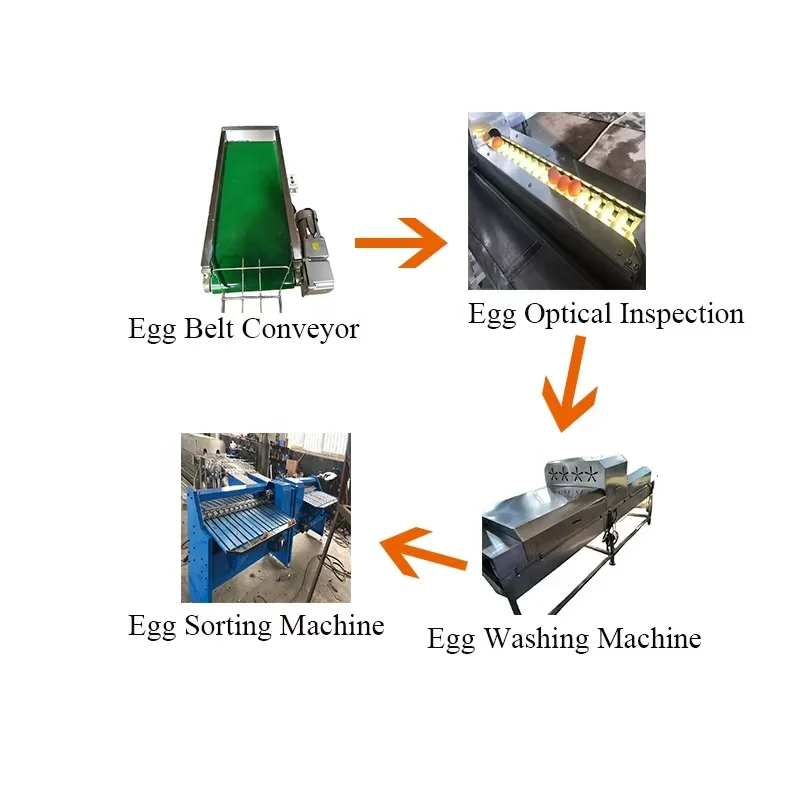 Egg Testing Machine/Chicken Egg Light Checking Machine/Egg Sorting Machine