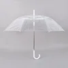 transparente