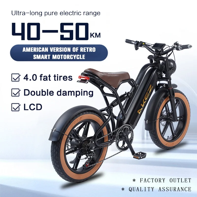 Double Suspension Mountain Bike Wheeled 20 Inch Fat Tire Electric Bike
