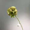 Verde brunastro