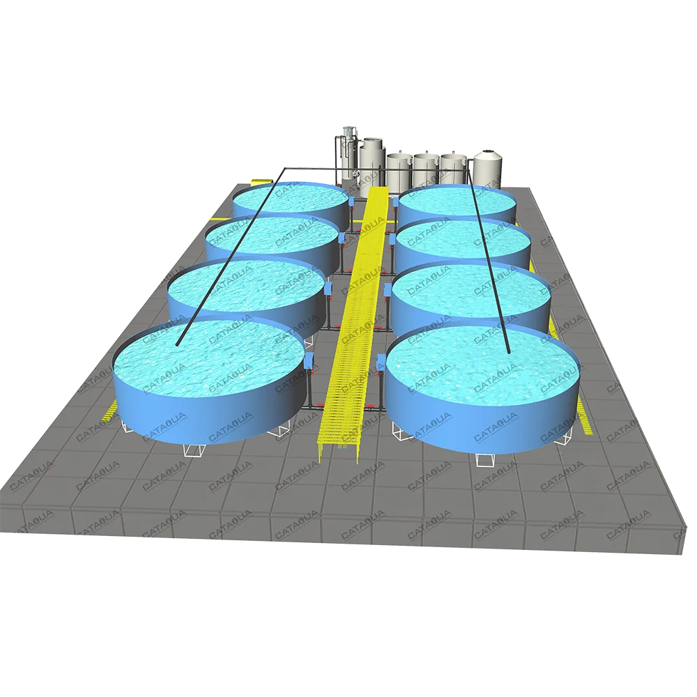 CATAQUA Ras Tilapia Fish Farming Equipment Recirculating Aquaculture System Price