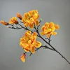 Arancione