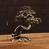 colorful hj Dwarf Welcome Pine