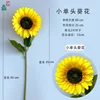 Girasol pequeño de una sola cabeza XZG, enviado por separado.