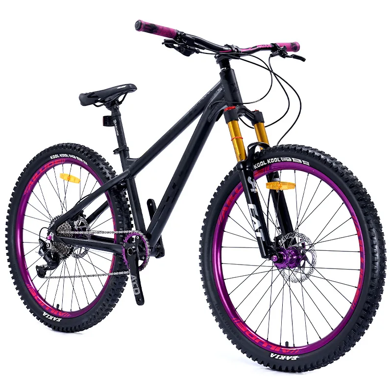 Customized Aluminum Alloy Mountain Bike With Disc Brake Odm