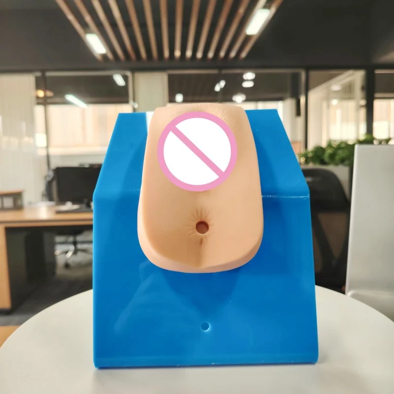 DARHMMY Advanced Medical PVC Model for Urethral Catheterisation Dress Code Simulation  for Female for Training and Hospitals