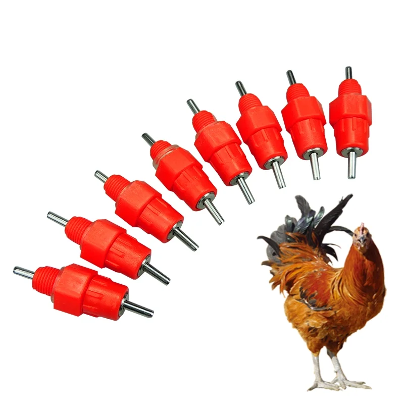 Automatic Auto Chicken Quail Poultry Nipple Drinker With Drip Cup 22mm square Tube Pipe Poultry Equipment
