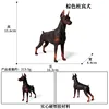 Doberman marrone 600 colorato