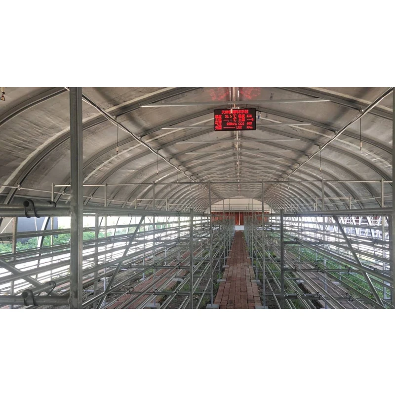 Straw Mushroom Cultivation Greenhouse Stable Greenhouse for White Button Mushroom Growing Agricultural Greenhouse