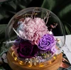 Purple Carnation