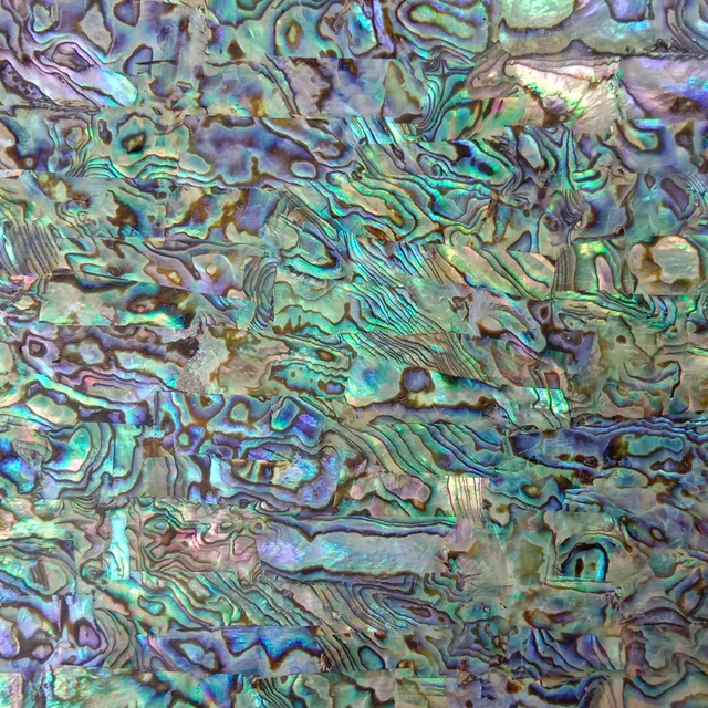 2毫米 paua 鲍鱼壳片天然 paua 壳层压板