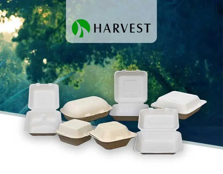8 Inch Disposable Biodegradable Catering Takeaway Food Storage Square ...