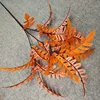 N.º2 naranja claro