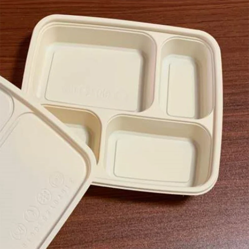 Biograde Fast Food Boxes Takeaway Packaging Disposable