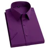 สีม่วง