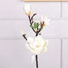 Style4 bianco