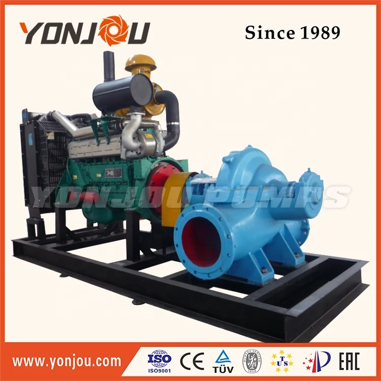 Yonjou Brand Horizontal Salt Water Pump - China Yonjou Sea Water Pump,  Double-Suction Pump