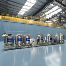 High Productivity 200L Mini Dairy yogurt making machine Small Coconut Milk Processing Equipment Production Line for Home Use