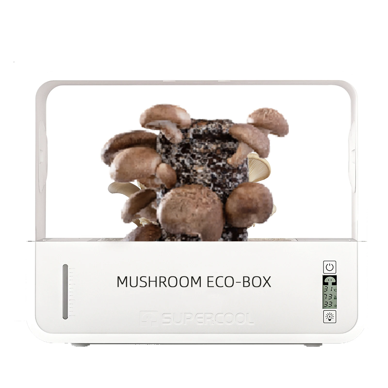 Urban Agriculture Fungi Works Mushroom Growing Kit Garden