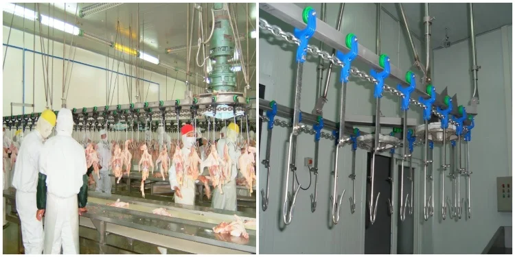 High-efficiency poultry slaughtering line, processing 1,000-3,000 poultry per hour