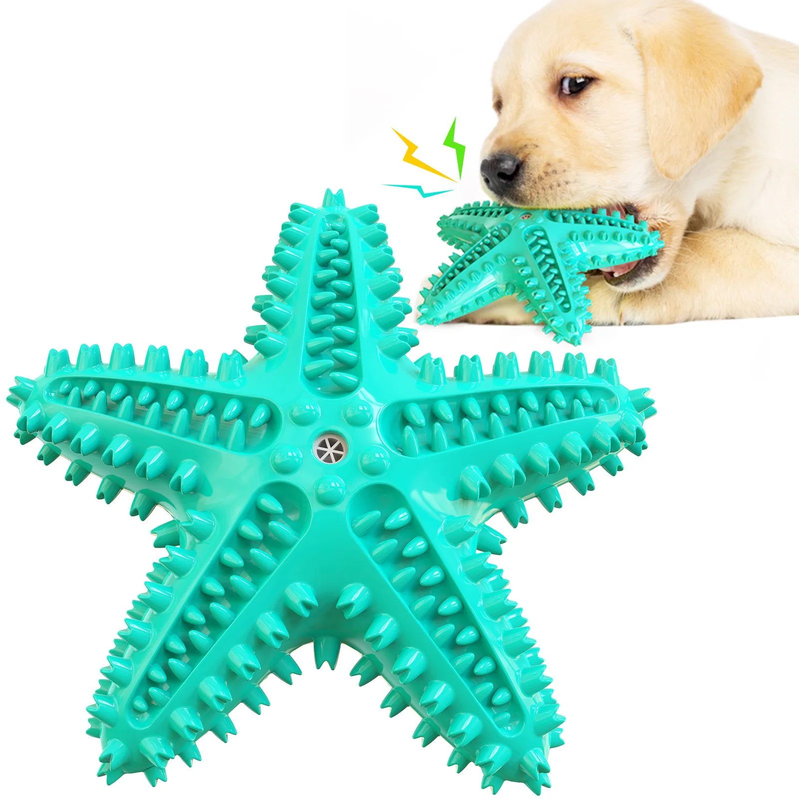 Pet toy Amazon hot sale dog toy starfish sounding dog puppy toy starfish shaped dog toothbrush manuf