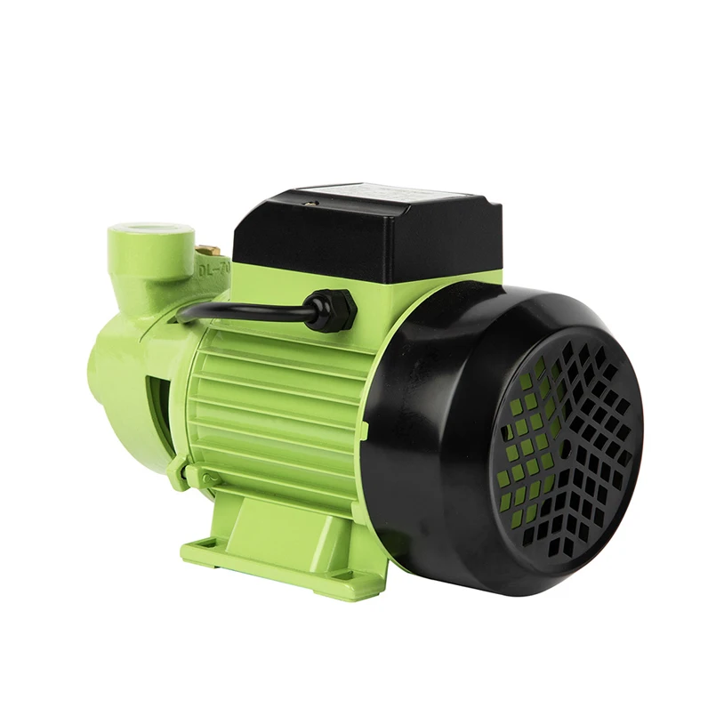 High Efficiency 1Hp Small Electric Power Water Peripheral Pump 110/220V Agricultural Irrigation Water Pumps