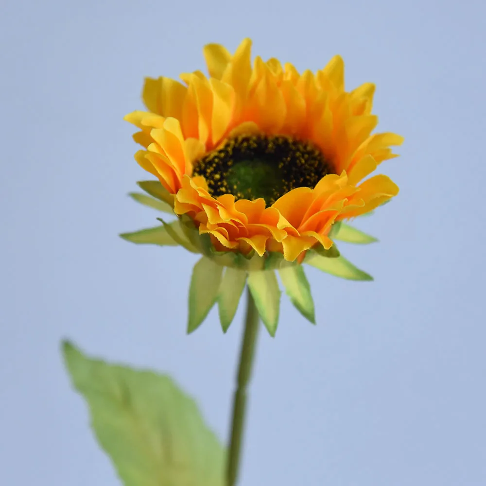 Girasol Latino De Un Solo Tallo,Hojas De Color Claro Pequeñas,Flor  Artificial,Regalo Para El Día De La Madre,Cumpleaños,Navidad,Decoración De  Boda,N. ° 40 - Buy Planta Artificial,Flor Decorativa,Suministros De Boda  Product on 