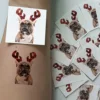 Tatouage temporaire