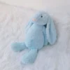 Blue bunny