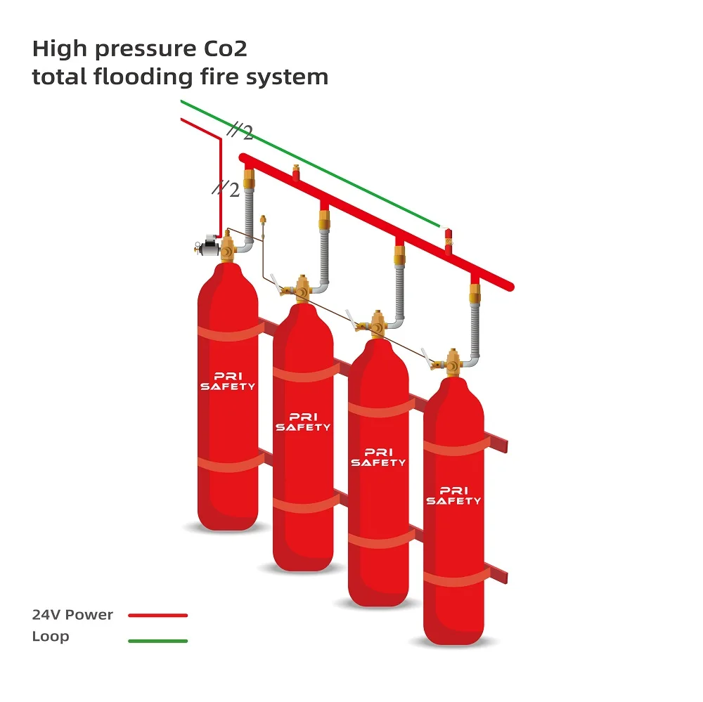 High Pressure Co2 Total Flooding Fire Suppression System