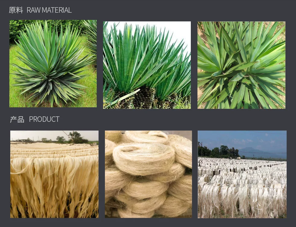 Pineapple Leaf Extracting Machine Ramie Decortication Sisal Fiber