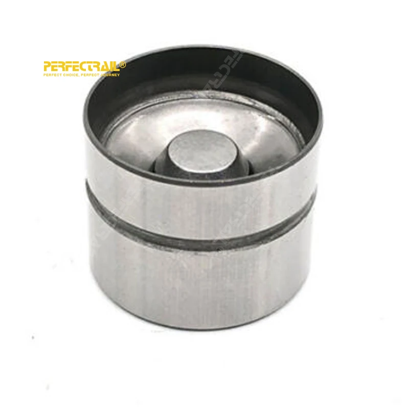 Perfectrail 96376400 94580176 96184997 Auto Parts Hydraulic Lifter
