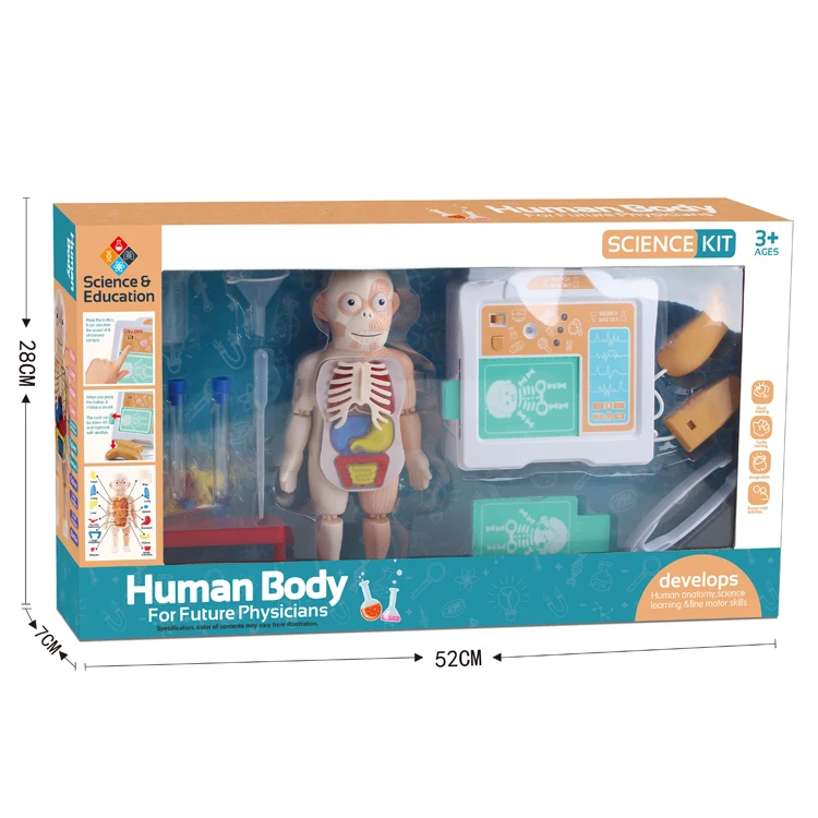 Labs Educational Human Body Science Kit Children Assembly Games 3D Model Doctor Toys Set