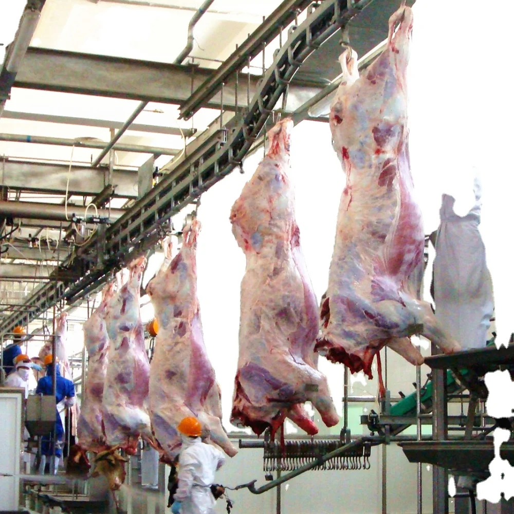 Full set of halal cattle slaughterhouse meat cutting machine assembly line