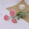 Rose foncé