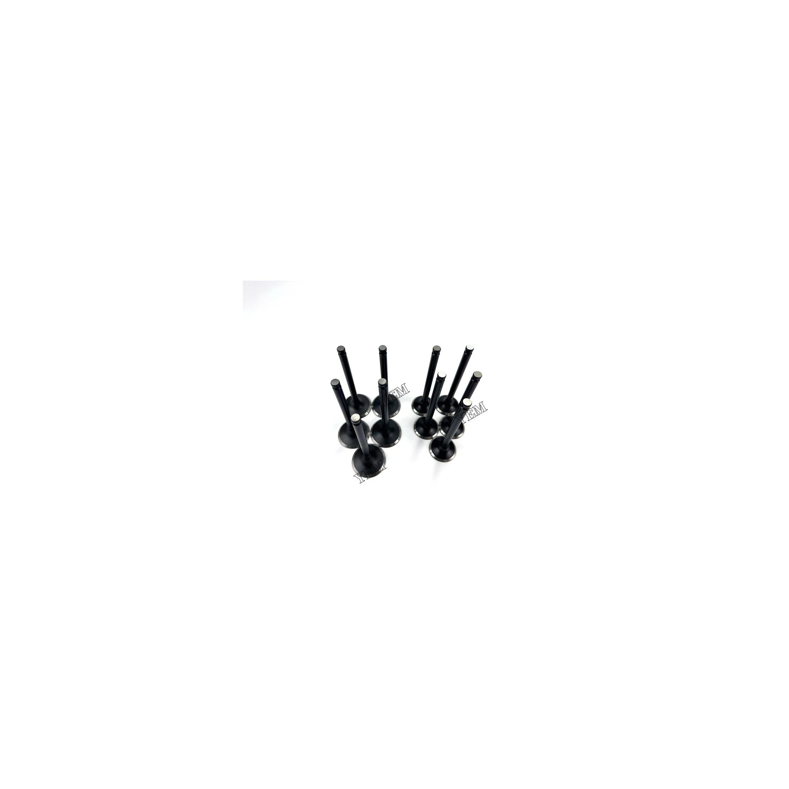 D2848-21 Valve for German Man Engine Rebuild Kit