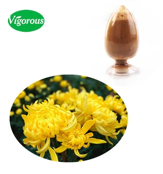 Pure Natural health care ingredients organic Chrysanthemum Extract