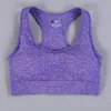 Reggiseno + viola
