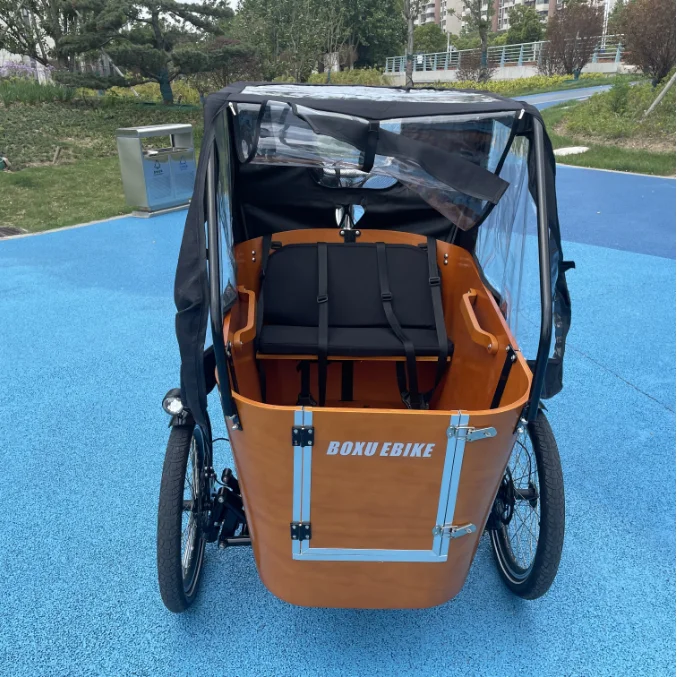 balance swing goods kids carrier cargo tricycle long family e-cargo bike three wheel danish electric cargo tricycle bike