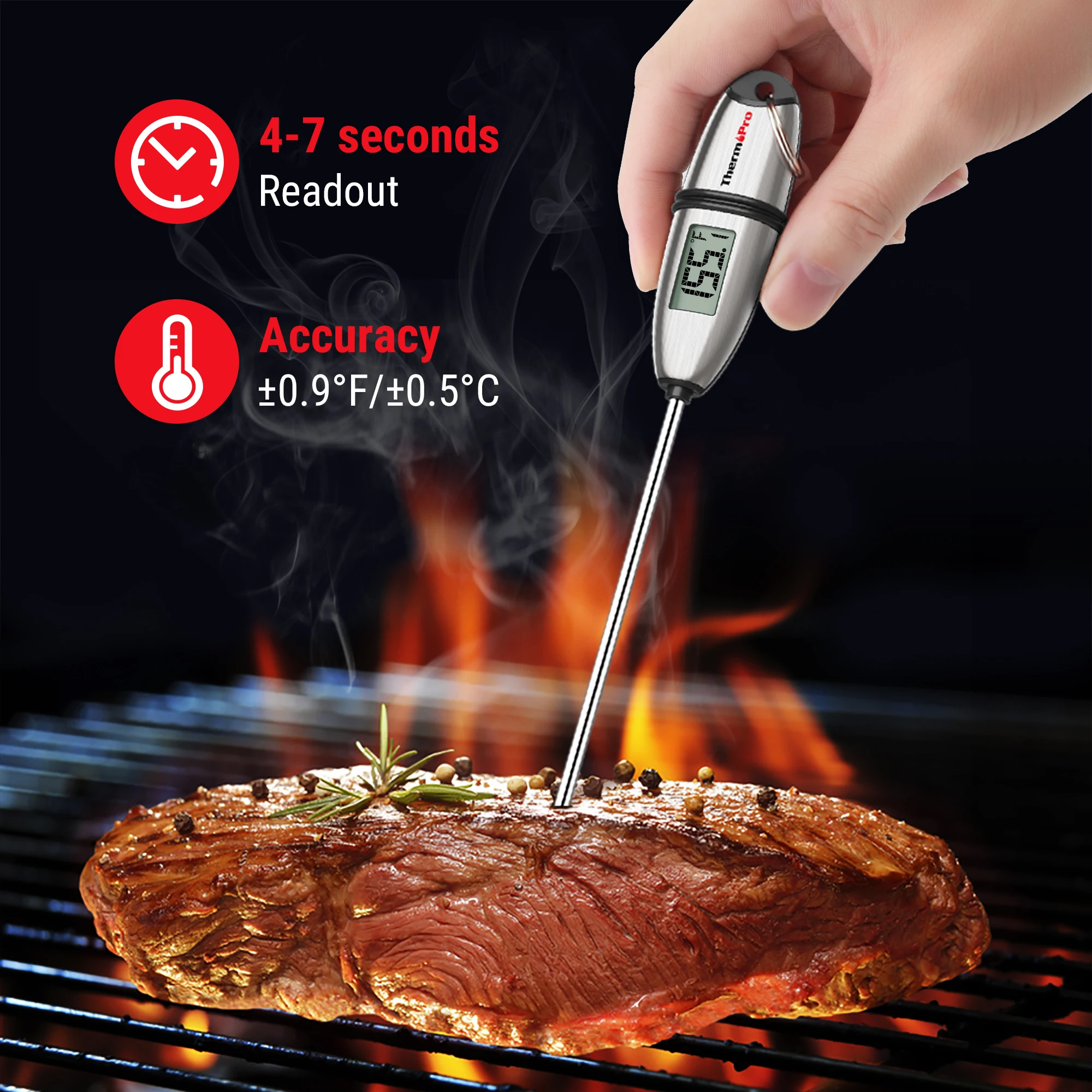 Mini Steak Thermometer